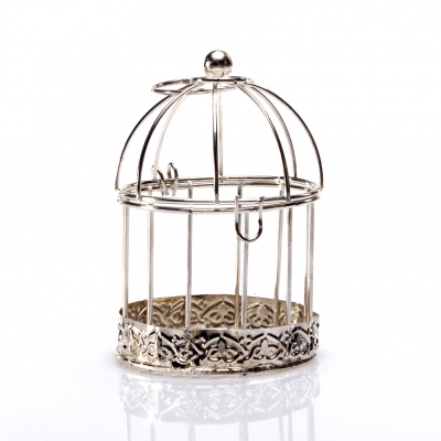 Cage Oiseaux Argent